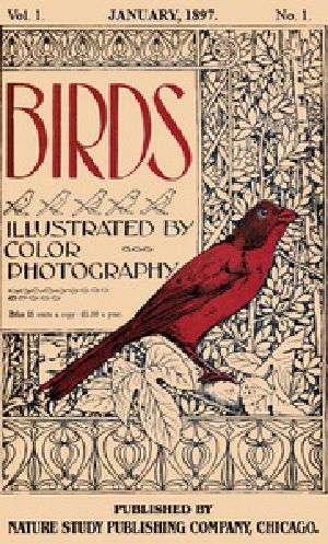 [Gutenberg 30221] • Birds, Illustrated by Color Photography, Vol. 1, No. 1 / January, 1897